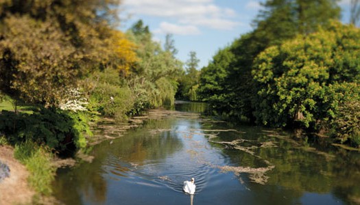 London Syon Park Hotel by Waldorf Astoria, αγγλική εξοχή πέντε αστέρων Album | The Food & Leisure Guide