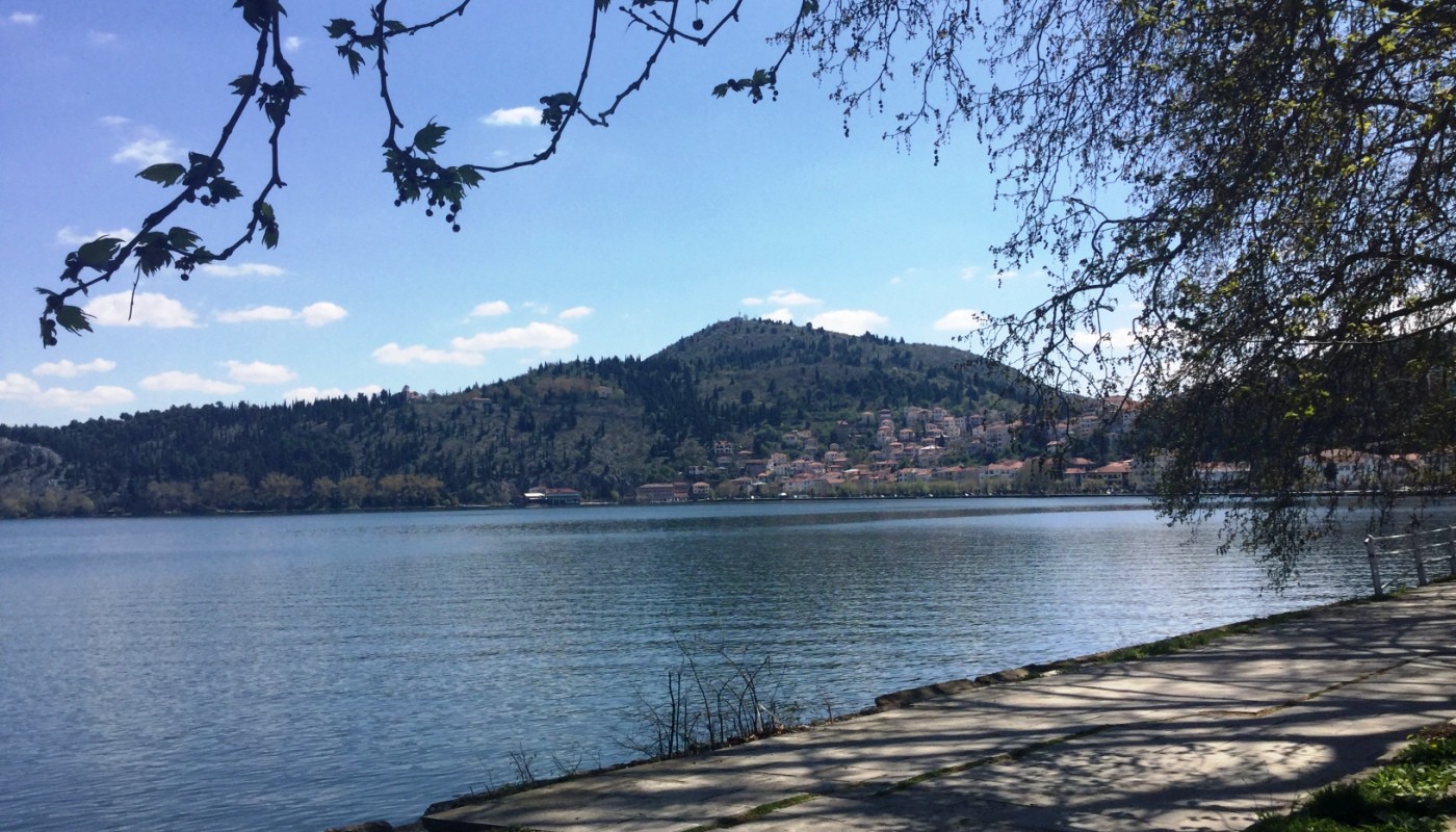 Η ΓΑΣΤΡΟΝΟΜΙΚΗ ΔΥΤΙΚΗ & ΚΕΝΤΡΙΚΗ ΜΑΚΕΔΟΝΙΑ ΣΕ 6 ΣΤΑΣΕΙΣ | Θέματα