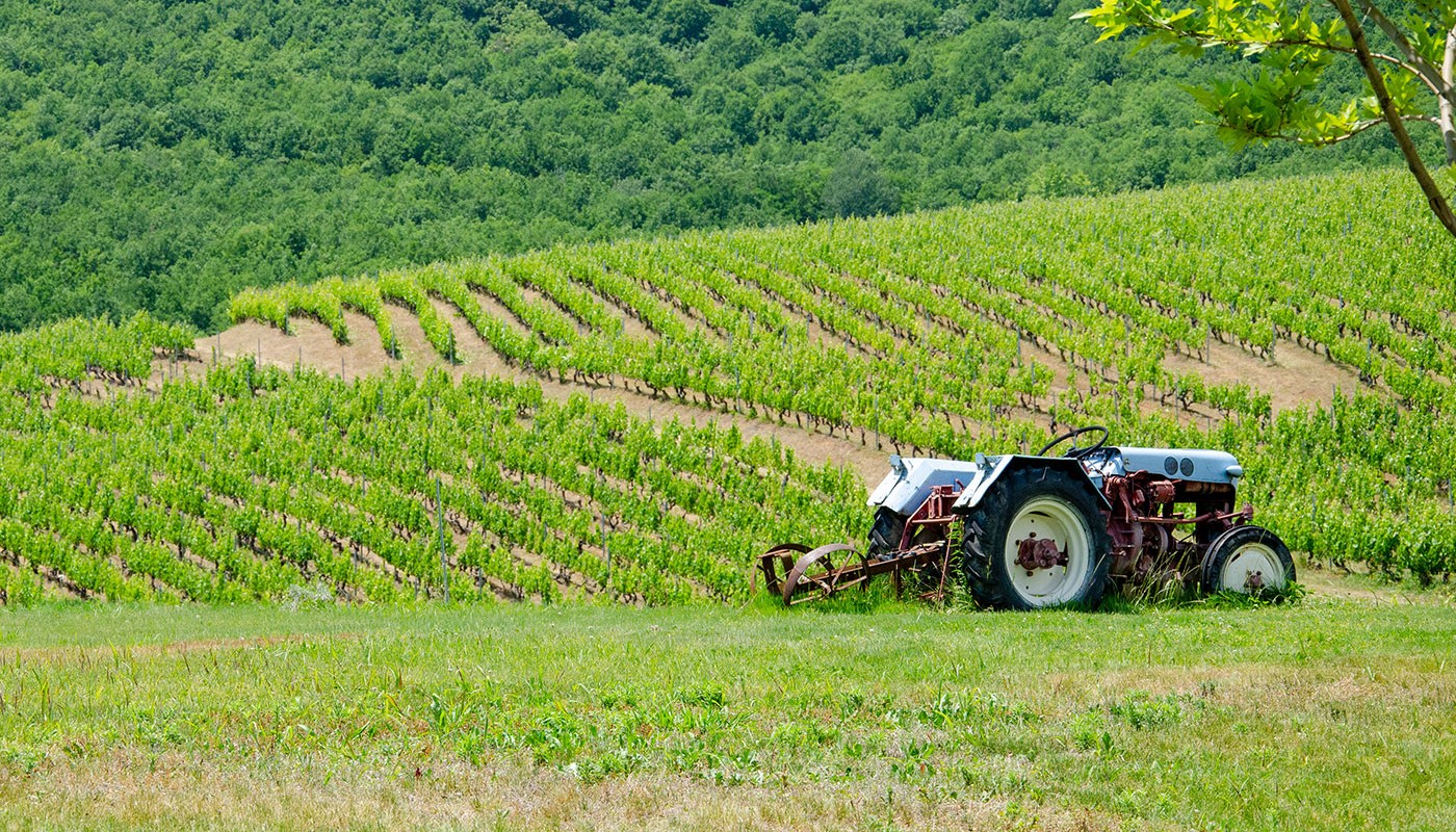 Naoussa Amyntaio | The Food & Leisure Guide