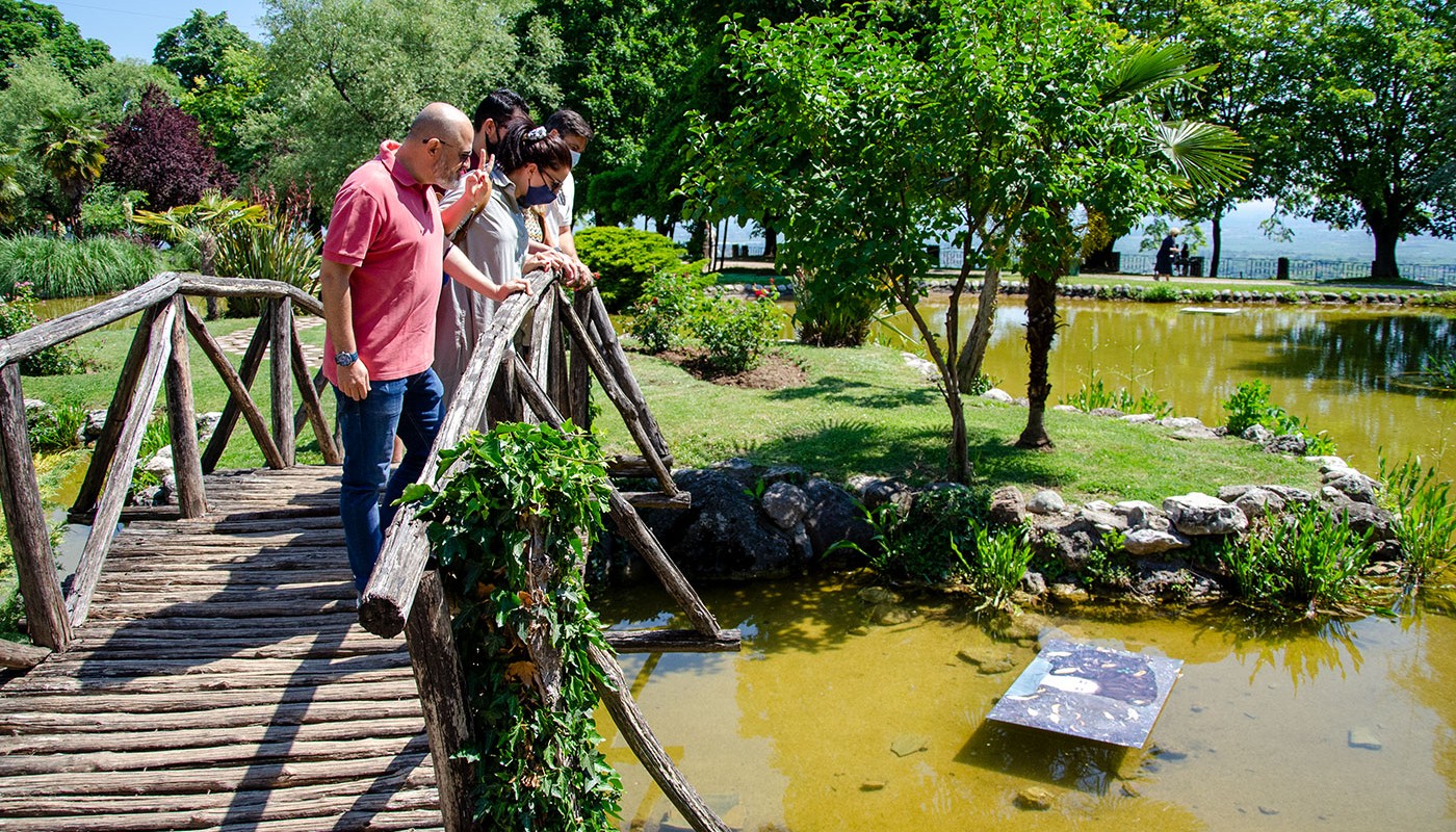 Naoussa Amyntaio | The Food & Leisure Guide