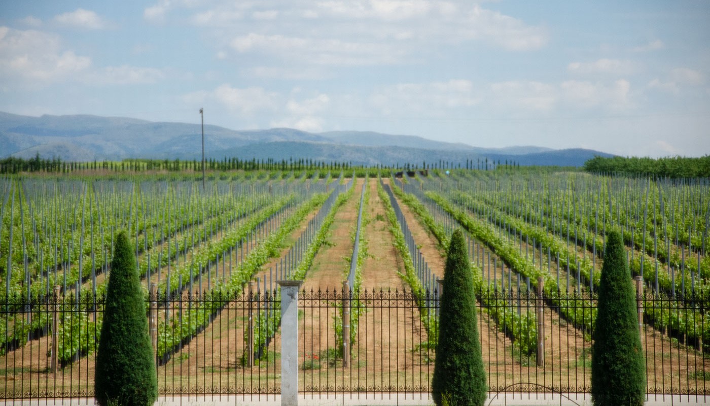 Naoussa Amyntaio | The Food & Leisure Guide