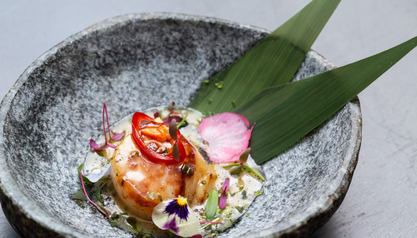 senta preview | The Food & Leisure Guide